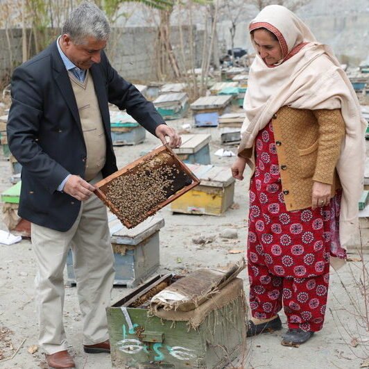 About Hunza Honey