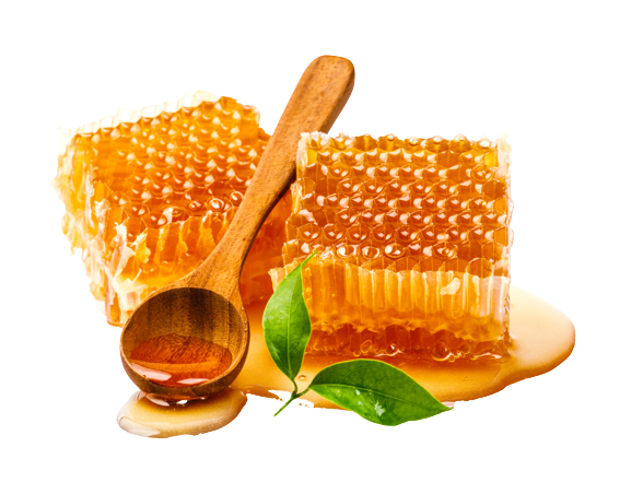 Honeycomb with healthy honey spoon leaf isolated