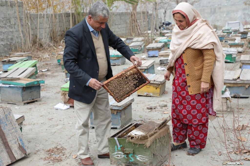 Hunza Healthy Honey beekeepers tending their hives in Gilgit-Baltistan