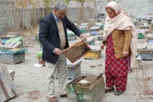 Hunza Healthy Honey beekeepers tending their hives in Gilgit-Baltistan
